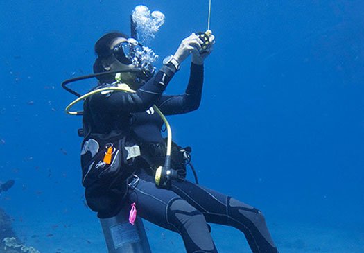 Do your PADI Divemaster in Bali