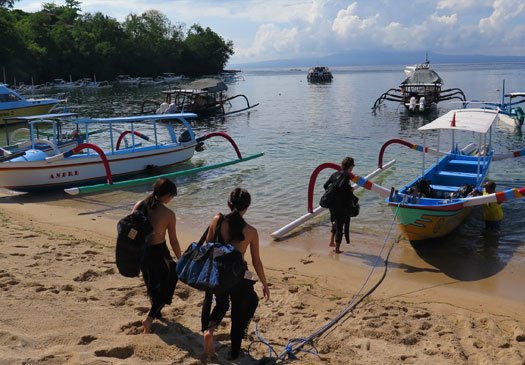 Discover the beautiful dive sites in Padang Bay Bali