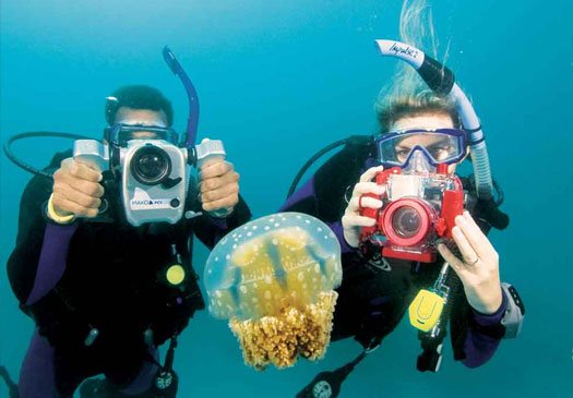 Leer je onderwater camera te gebruiken met de digital onder water fotografie cursus op Bali