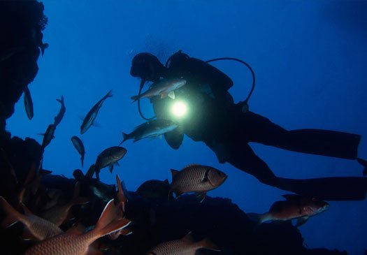 Ontdekt de riffen in hte donker met de PADI nacht duiker cursus in Bali