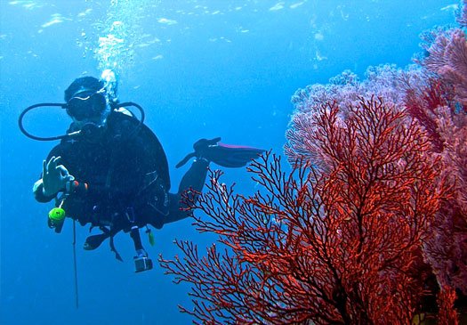 Impressive wall dives at POS II Ranger Station dive site