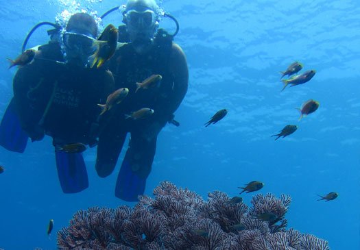 Dive site Pyramids Amed Bali